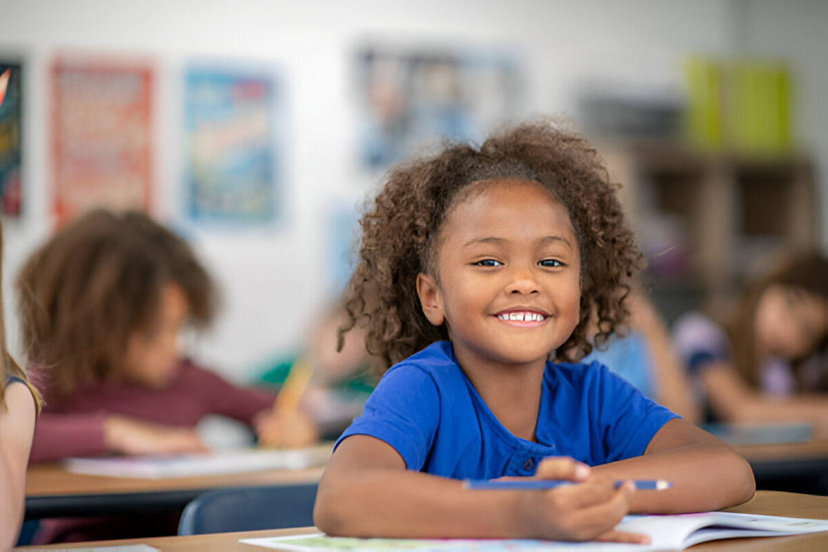 Affordable School Management Software Options for Small Schools in Nigeria